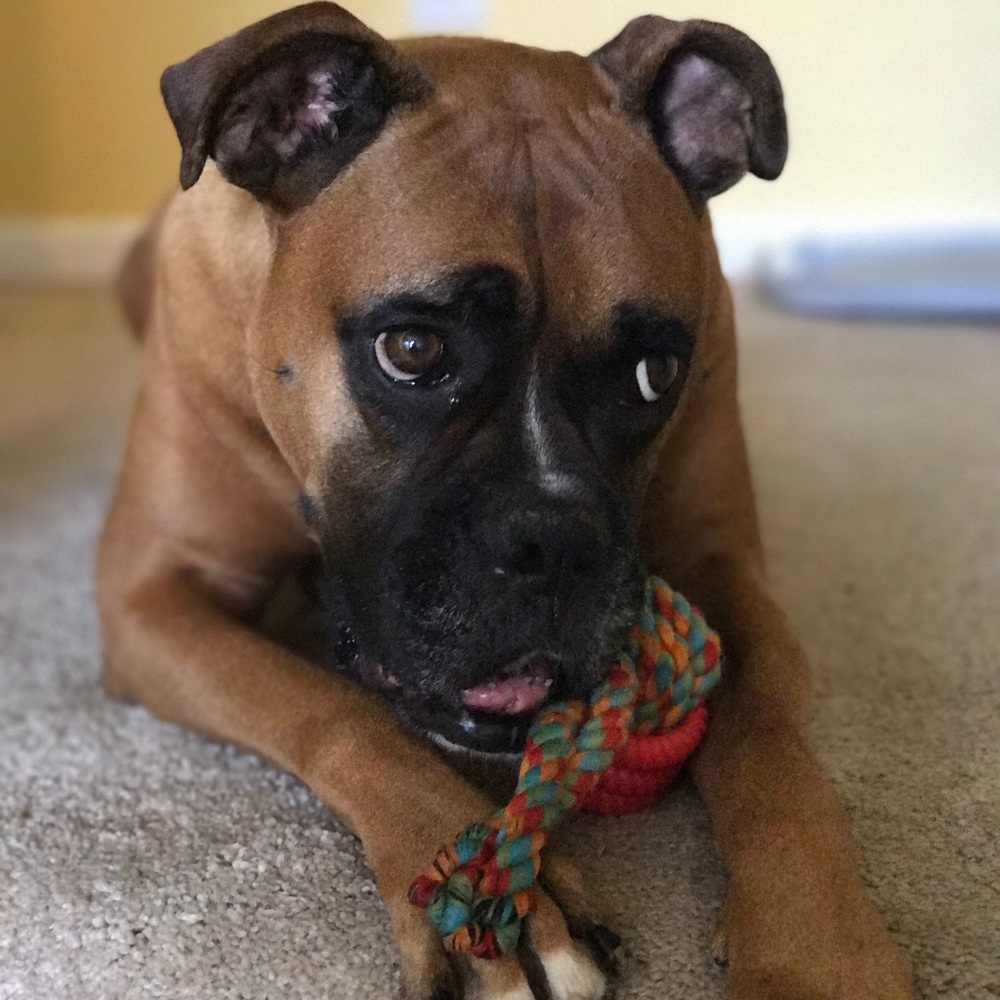 Meet your Posher, Kiya